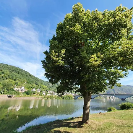 Mv Roemervilla, Lofts & Penthouses Mit Traumhaftem Moselpanoramablick Und Sauna Treis-Karden