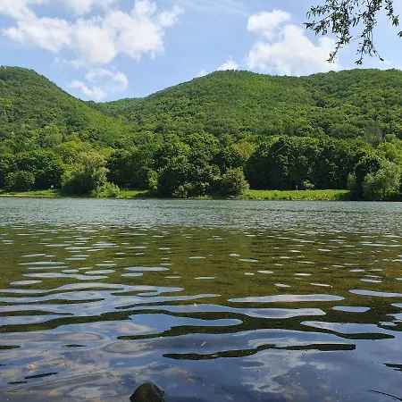 Mv Roemervilla, Lofts & Penthouses Mit Traumhaftem Moselpanoramablick Und Sauna *