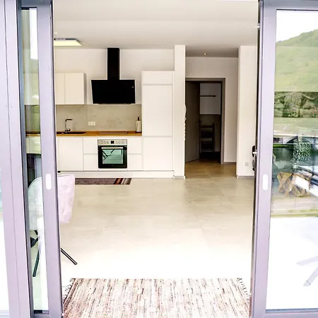 Mv Roemervilla, Lofts & Penthouses Mit Traumhaftem Moselpanoramablick Und Sauna Appartement Treis-Karden