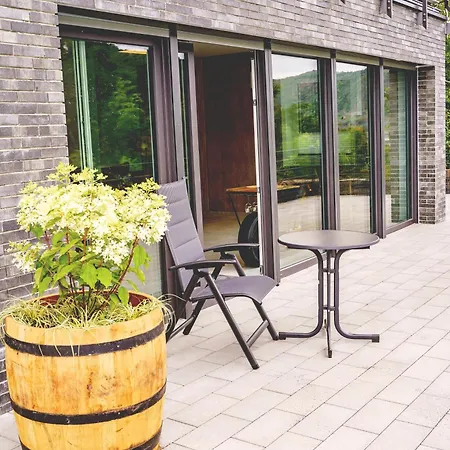 Mv Roemervilla, Lofts & Penthouses Mit Traumhaftem Moselpanoramablick Und Sauna