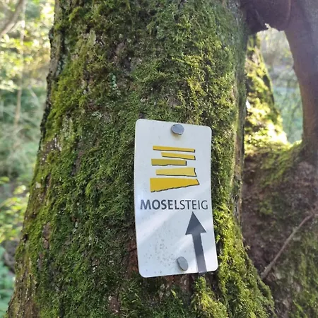 Mv Roemervilla, Lofts & Penthouses Mit Traumhaftem Moselpanoramablick Und Sauna Appartement