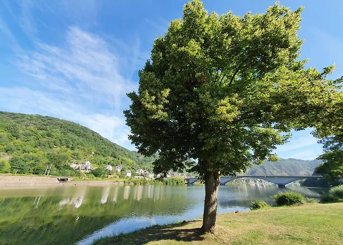 Mv Römervilla, Lofts&penthouses Mit Traumhaftem Moselpanoramablick Und Sauna Treis-Karden