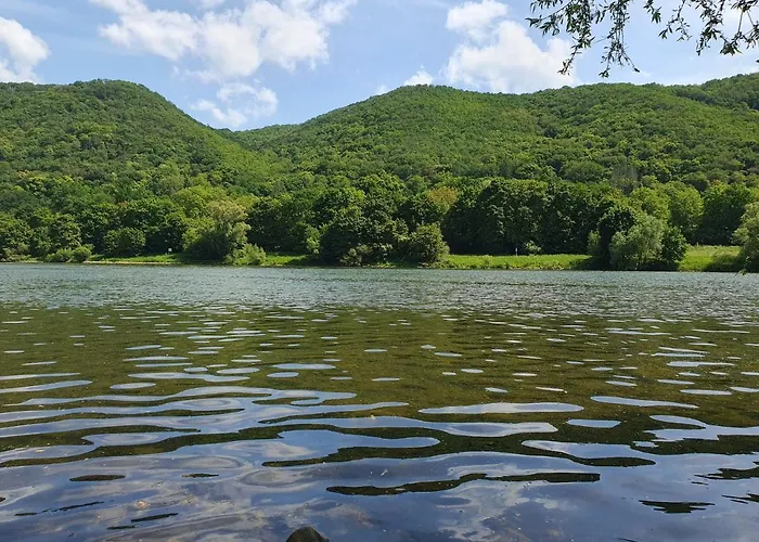 Mv Römervilla, Lofts&penthouses Mit Traumhaftem Moselpanoramablick Und Sauna *