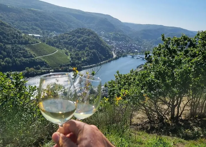 アパート Mv Roemervilla, Lofts & Penthouses Mit Traumhaftem Moselpanoramablick Und Sauna トライス・カーデン