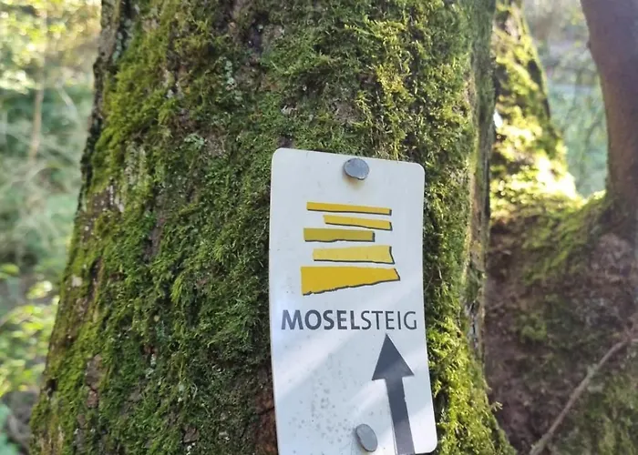 Mv Römervilla, Lofts&penthouses Mit Traumhaftem Moselpanoramablick Und Sauna Apartment