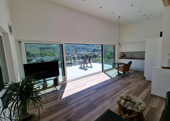 Mv Römervilla, Lofts&penthouses Mit Traumhaftem Moselpanoramablick Und Sauna Apartment *